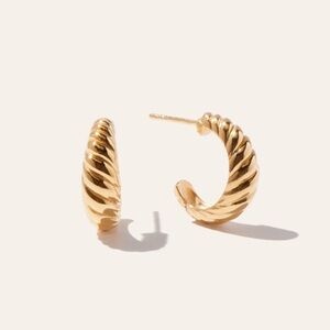 Quince Croissant Hoop Earrings